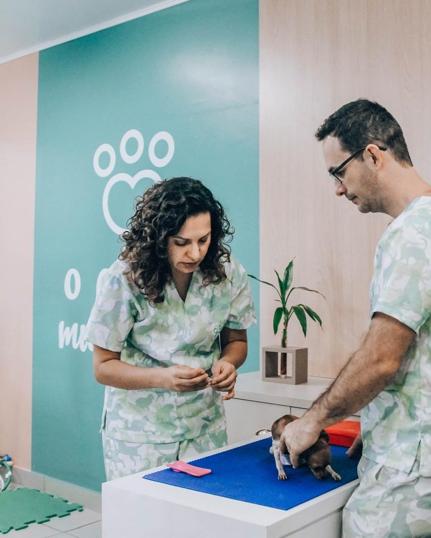 Karine Pacheco e um colega preparando o atendimento de um filhote no Hospital Veterinários com Amor